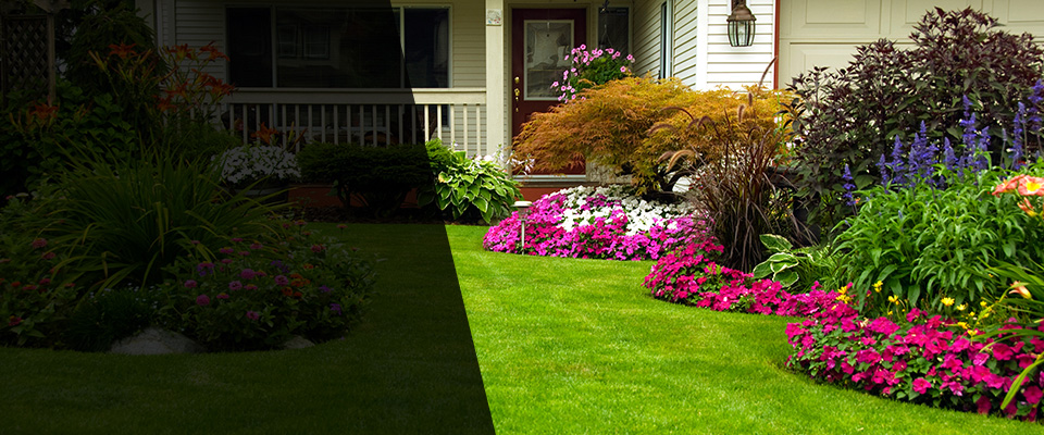Portola Valley Landscapers