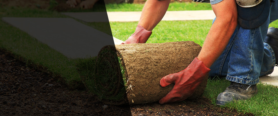 Portola Valley Landscapers